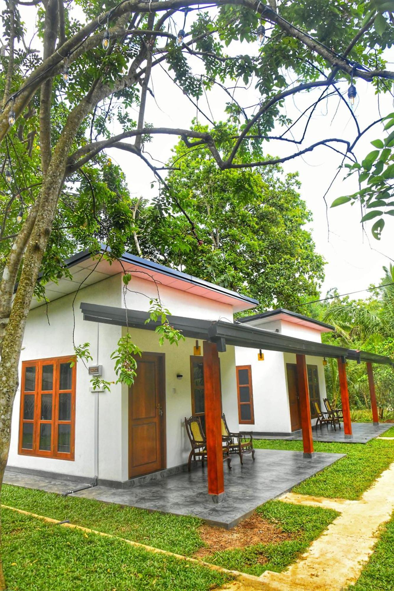 אודוואלאווה Udawalawa Safari Resort מראה חיצוני תמונה