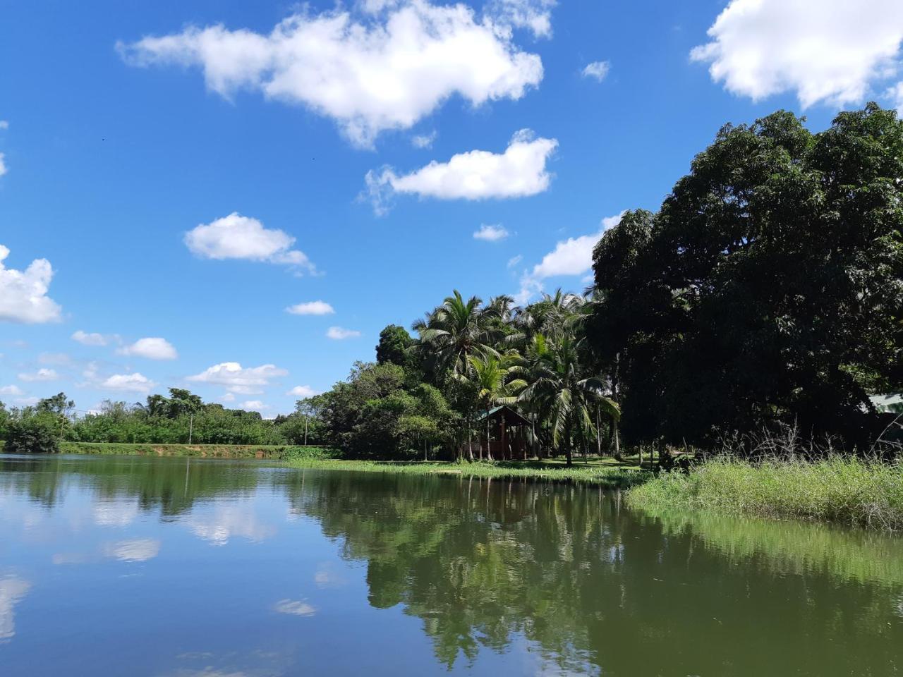 אודוואלאווה Udawalawa Safari Resort מראה חיצוני תמונה