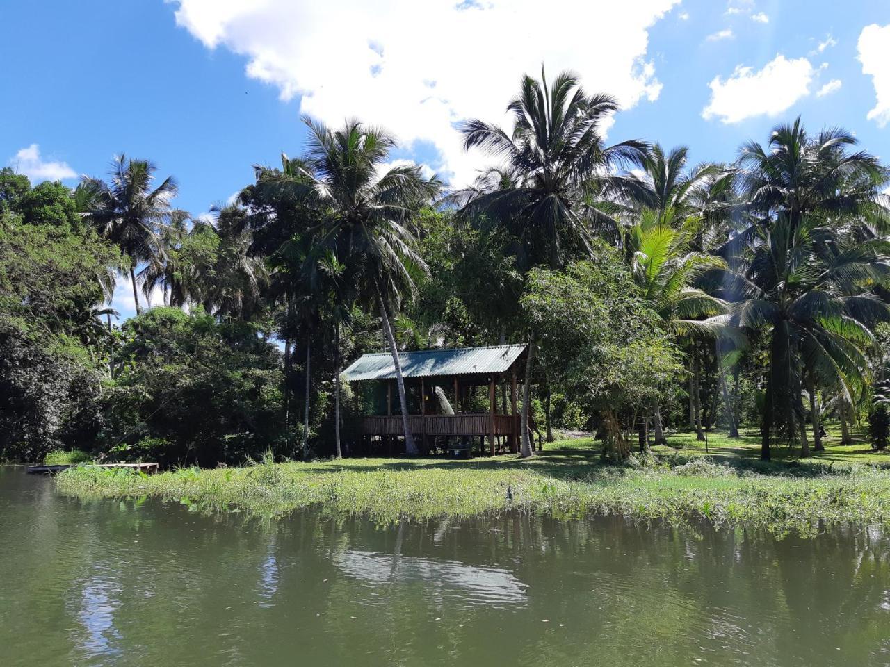 אודוואלאווה Udawalawa Safari Resort מראה חיצוני תמונה